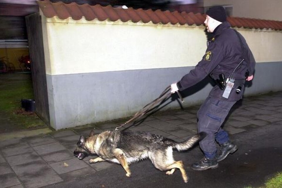 Hundföraren Tobbe Strand med schäfertiken Effie jagar narkotika. Arkivbild: Tomas Nyberg