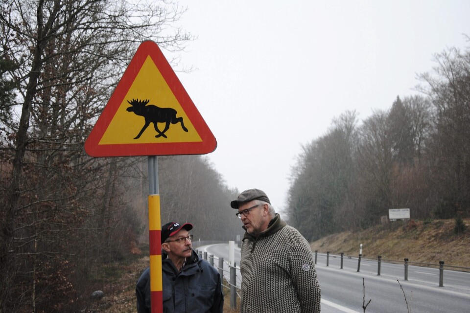 Här på väg 19 utanför Broby i riktning mot Östanå inträffar många viltolyckor. Men det förekommer också ett stort mörkertal, säger Kjell Ragnarsson, till höger om Jan-Axel Olsson. FOTO: SUSANNE GÄRE