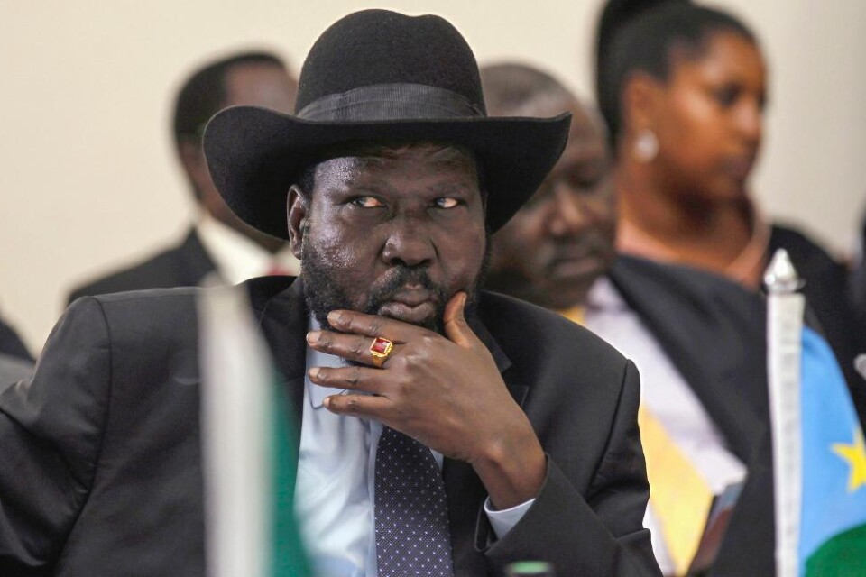 Sydsudans president Salva Kiir och rebelledaren Riek Machar har undertecknat en uppgörelse om maktdelning i det av inbördesstrider sargade unga landet. Enligt uppgörelsen fortsätter Kiir som president, medan Machar blir vicepresident, enligt diplomate