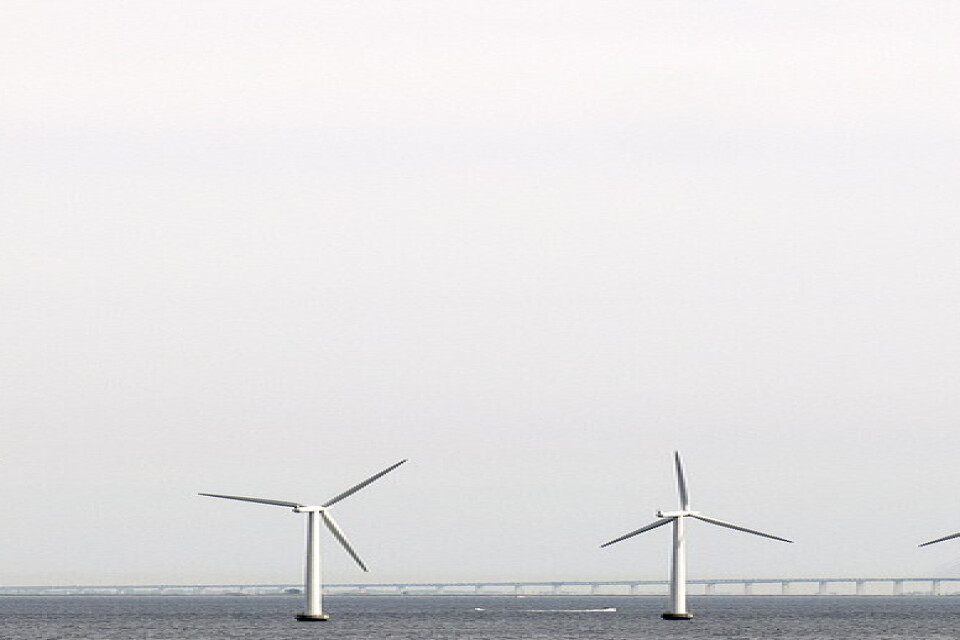 Största vindkraftsparken hamnar i Nordsjön, vid Doggers bankar. På bilden vindsnurror i Öresund. Arkivbild.