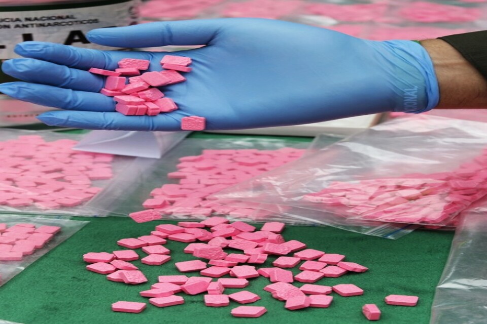 Polisen visar upp MDMA-tabletter från ett tidigare drogtillslag i Colombia. Arkivbild.