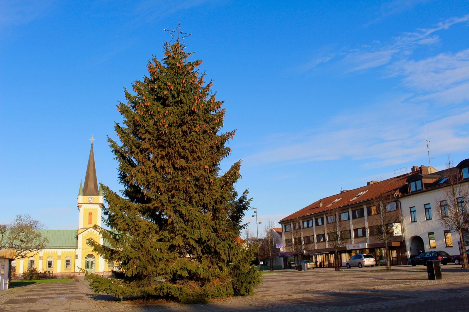 BORGHOLM: Borgholms julgran har samma geografiska ursprung som förra årets julgran. Det är samma familj på mellersta Öland som har skänkt den till Borgholms kommun.