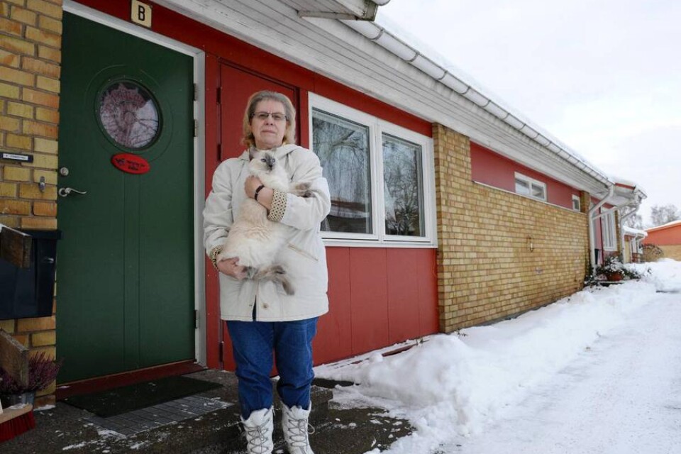 Elisabeth Kinnsund och hennes tre katter har fått två okända personer skrivna på sin adress.