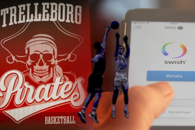 Baskethärvan i Trelleborg: Granskningen i korthet