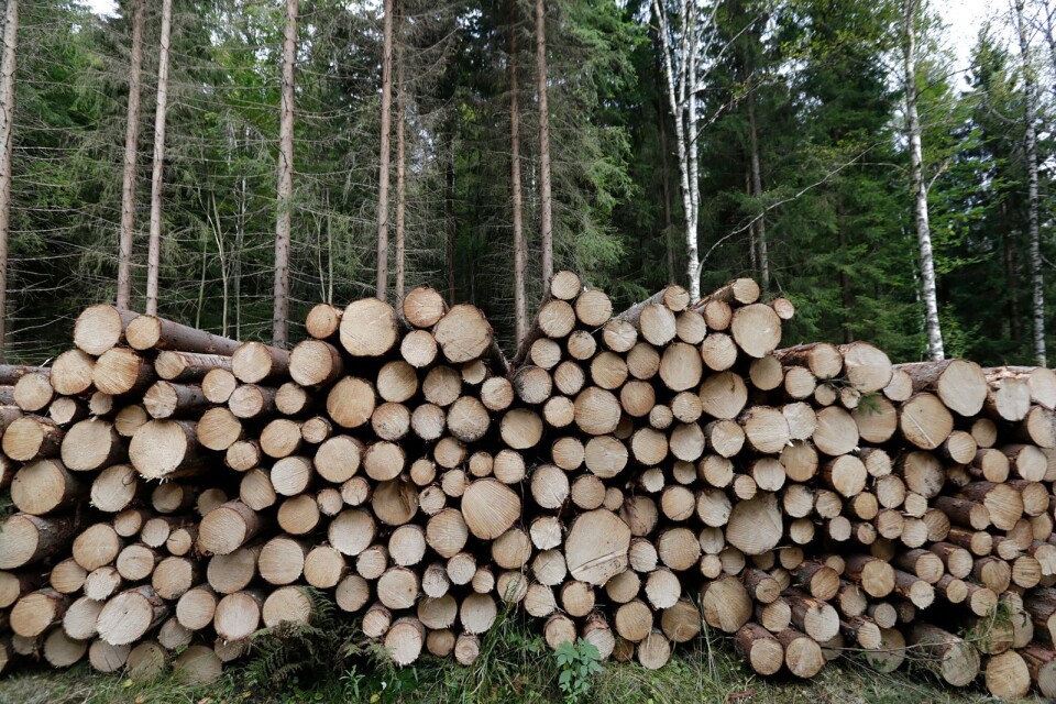 Någon skogsskövling ägnar vi oss alltså inte åt. Vi har fördubblat våra skogar de senaste 100 åren, skriver Håkan Lundgren, LRF Sydost.