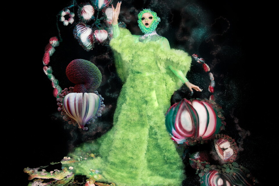 Björk har, som vanligt, skapat ett helt universum kring den nya skivan. "Fossora" är ett jordbundet album, titeln betyder ungefär "hon som gräver". Pressbild.