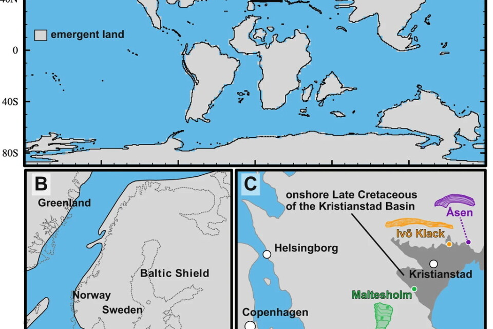Jordens geografi för 78 miljoner år sedan, i en illustration som publicerats med studien. Det mörkgrå området på bilden i nedre högra hörnet är det som kallas Kristianstadsbassängen.