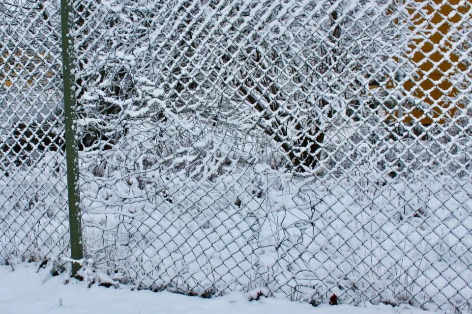 För att komma in på Växtriket i Nybro hade staketet klippts upp och någon hade tagit sig in. På bilden är staketet redan lagat.
