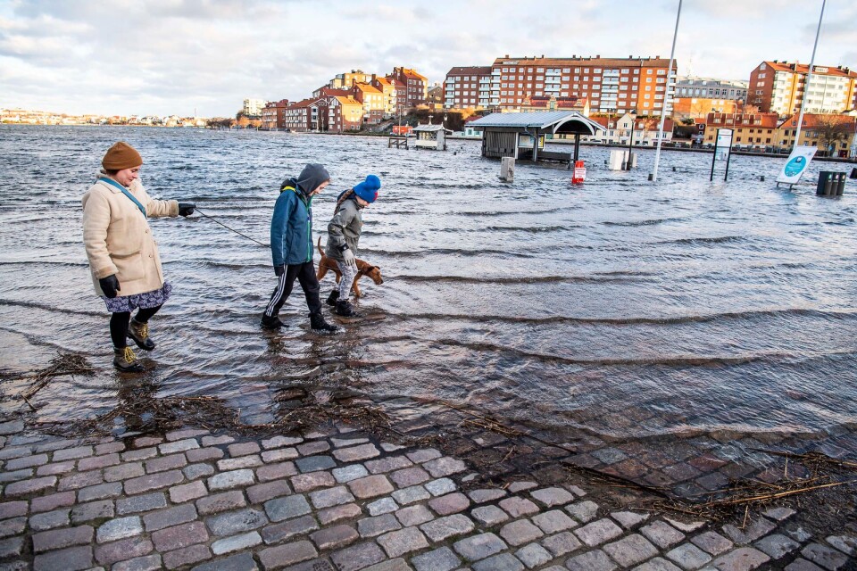 Stormen Alfrida skapade högt vattenstånd i Blekinge i vintras. Här är Fisktorget i Karlskrona. Fridays for Future varnar för en framtid där detta blir ett normaltillstånd.