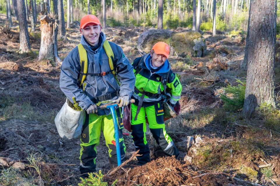 Tomaz och Joanna Superson har kommit från Polen till de småländska skogarna för att plantera gran. "Det är fint när du planterar och kan se träden växa upp", säger han.