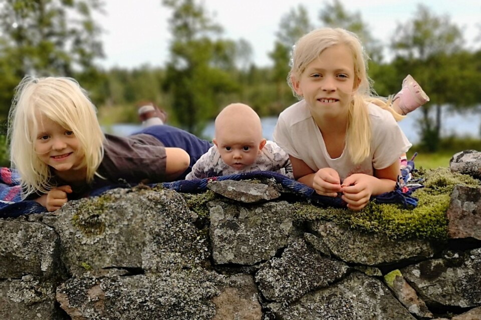 Malin och Per Ericson, Knappsmåla, Örsjö,fick den 31 maj en son som heter Elof. Vikt 3296 g, längd 50 cm. Syskon: Ingrid-Stina och August.