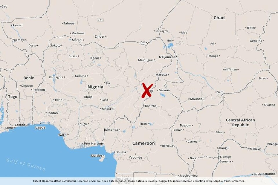 Minst två personer har dött i en explosion i ett läger för flyktingar i Nigeria, enligt landets polis. - Det var en explosion vid Malkogi-lägret för internflyktingar i Yola, säger Aliyu Maikano från Röda Korset. Människorna i lägret har flytt konflikten
