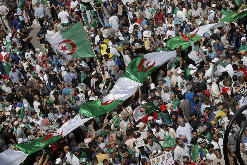 Regeringskritiska demonstranter i Algeriets huvudstad Alger den 14 juni. Arkivbild.