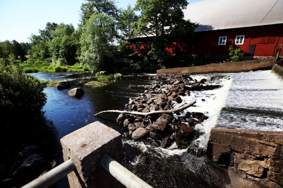 Krankelösa damm är en av många mindre dammar i Kalmar län.