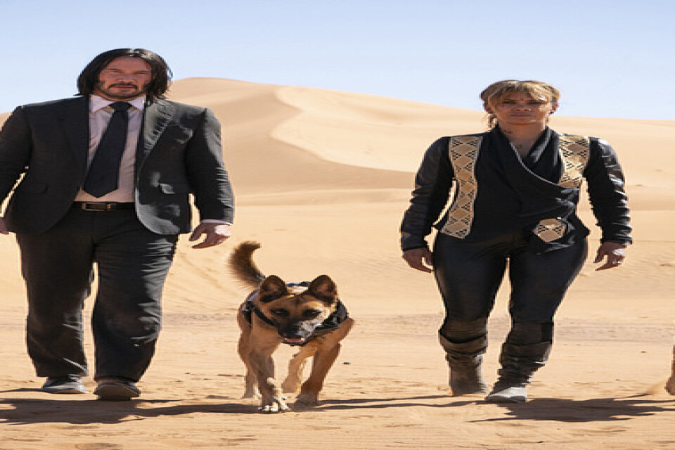 "John Wick 3", med Keanu Reeves och Halle Berry, går in som etta på den amerikanska biotoppen. Pressbild.