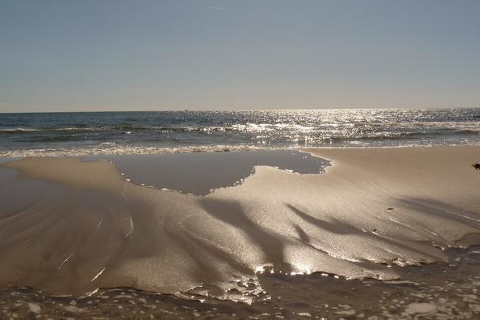 Havet speglar sig i sanden på Sandhammaren.