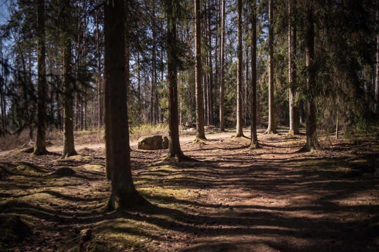 Debatt: Sverigedemokraterna vill bevara stadsnära skog
