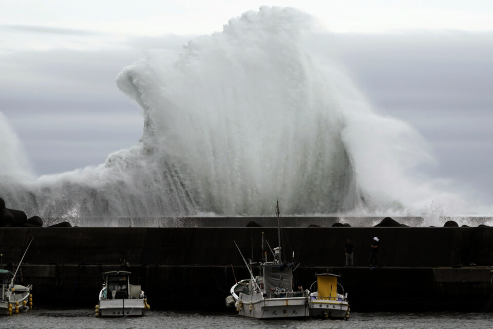 Vågor slår in mot hamnen i Kiho i Japan på fredagen.