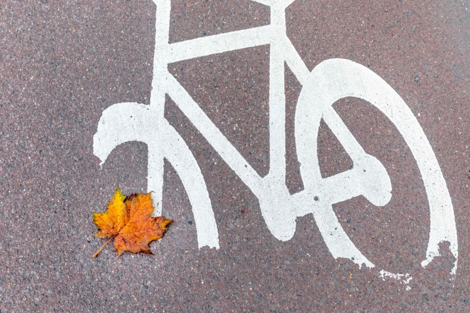 ”Det är inte rimligt att cykla på 25:an eller vägen Lessebo–Kosta. Det har talats länge om cykelvägar mellan orterna i kommunen men det händer ingenting”, skriver Per Erik Falk (MP).