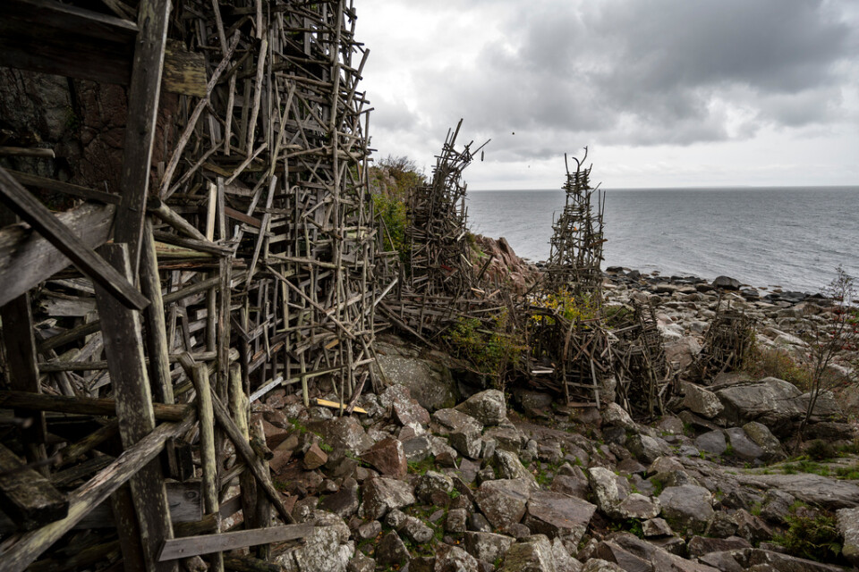 Lars Vilks träskulptur "Nimis" är på god väg att bli byggnadsminne. Arkivbild.