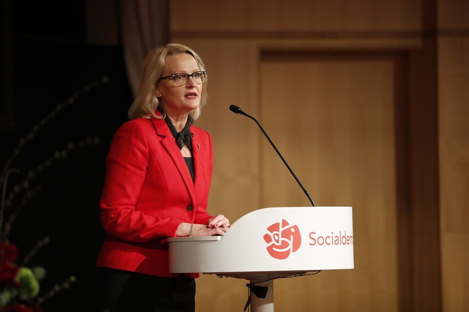 Helen Fritzon, toppkandidat för Socialdemokraterna i Europavaletet i maj. Foto: Christine Olsson / TT