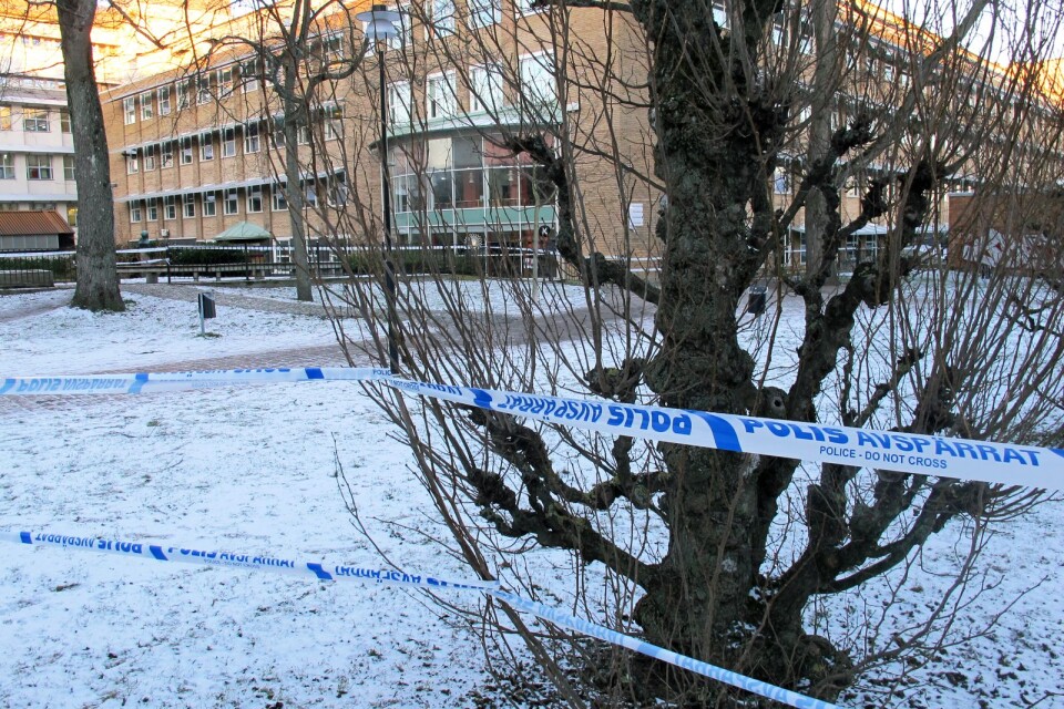 De två män som suttit anhållna för försök till mord efter ett bråk utanför Törnströmska gymnasiet har släppts fri. Misstankarna mot dem kvarstår dock.