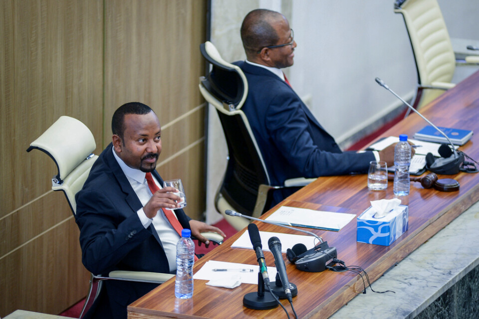 Etiopiens premiärminister Abiy Ahmed, var en av parterna som skrev under en vapenvila i striderna om regionen Tigray.