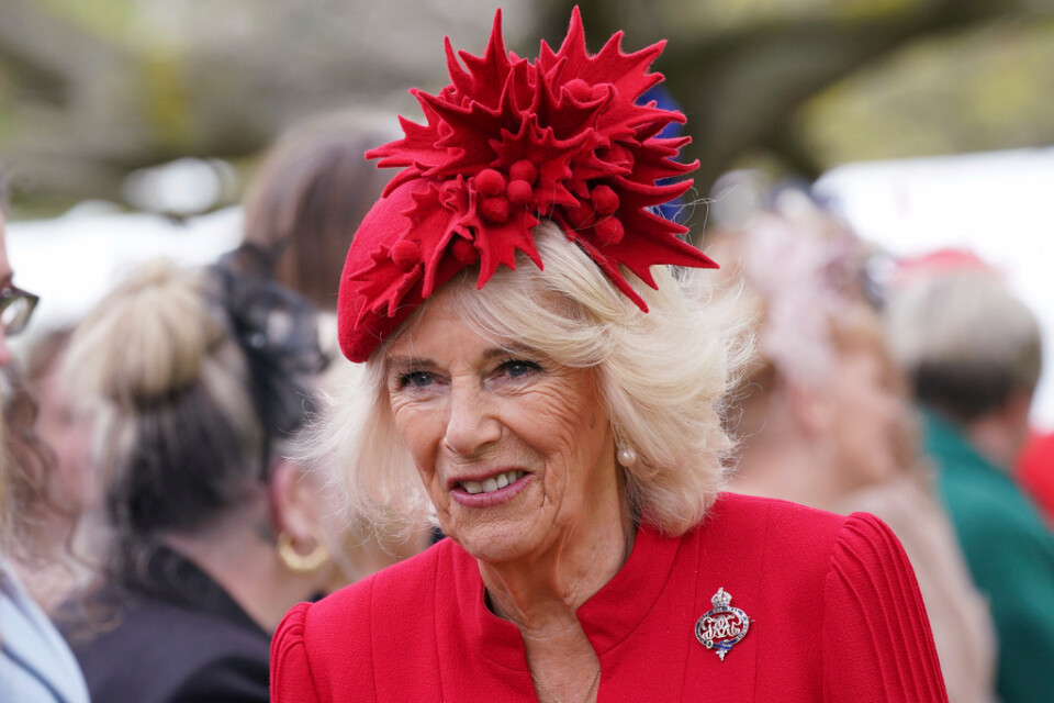 Den blivande drottningen Camilla under ett evenemang vid Buckingham Palace i London förra vecka.