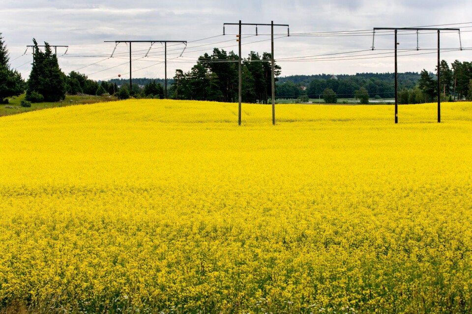 Varje år byggs hus, vägar eller industriområden på drygt 100 hektar, motsvarande 200 fotbollsplaner, av Västra Götalands jordbruksmark, påpekar skribenterna.
