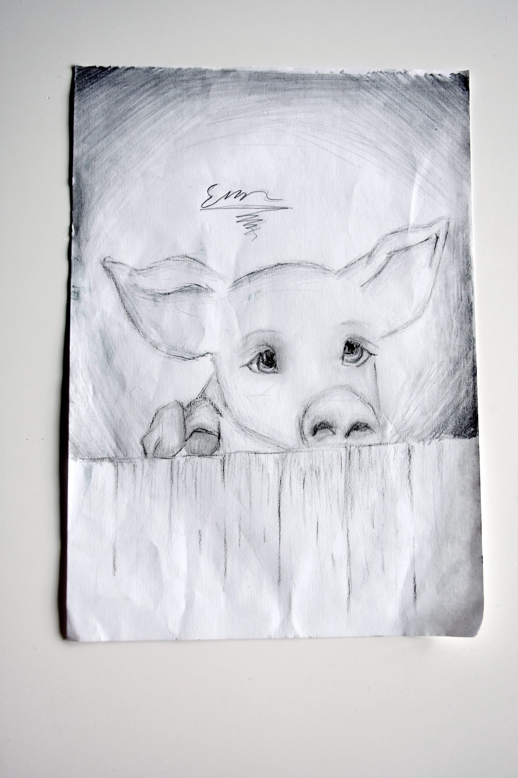Bilden på den här söta grisen är redan bortlovad.
Teckning: Ellen Bernhardsson