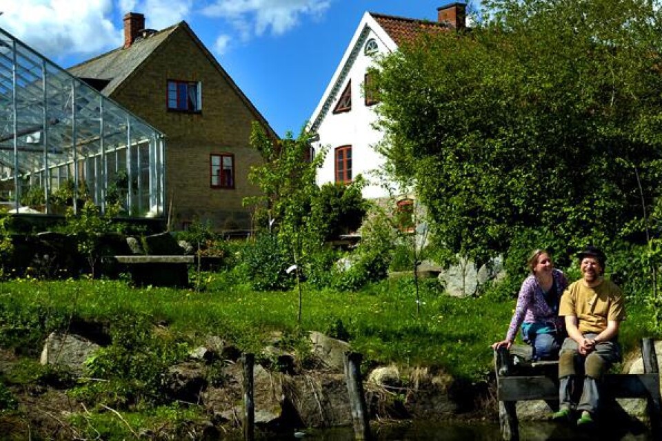 Arkivbild på paret Mandelmann i deras trädgård i Rörum.
