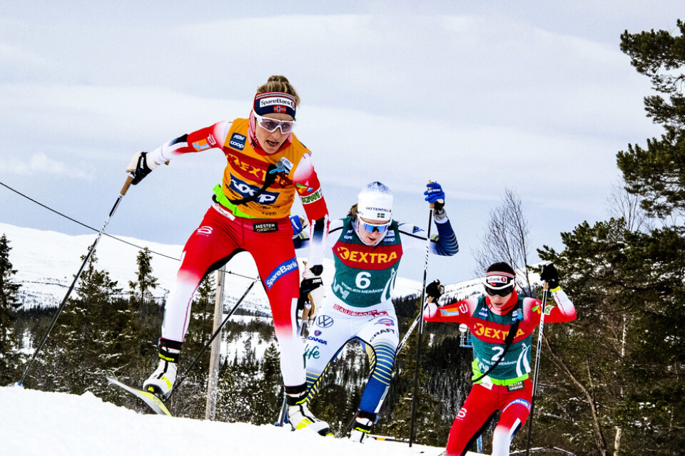 Ebba Andersson, mitten, kom aldrig i kapp Therese Johaug, vänster, i Ski Tours fjärde etapp.