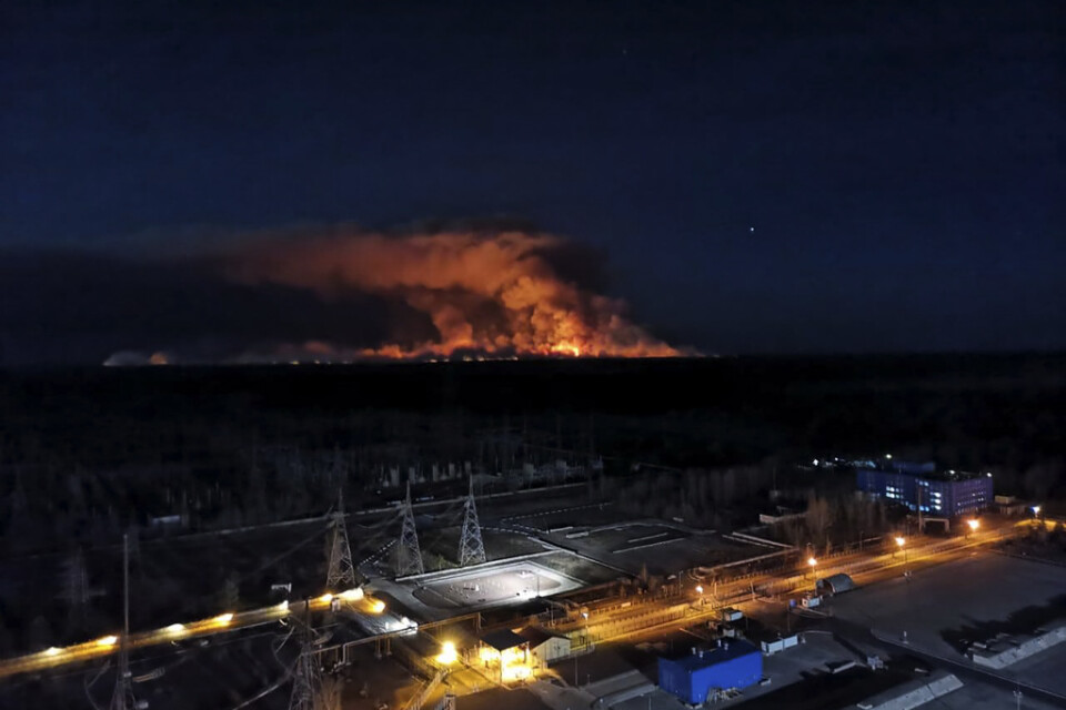 Skogsbränderna syntes från reaktortaket i Tjernobyl i fredags.