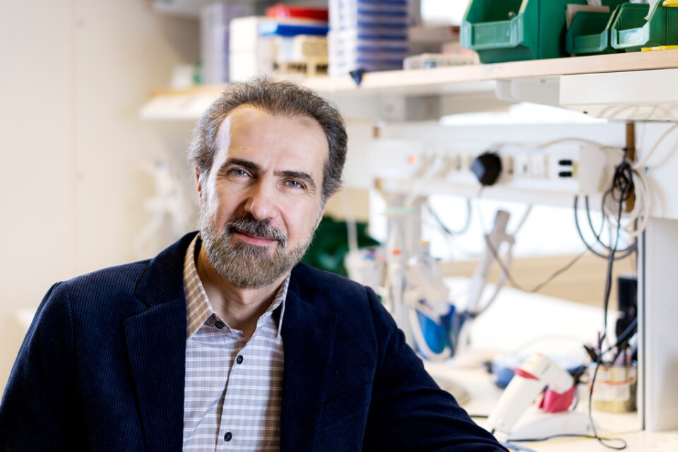 Ali Harandi leder ett laboratorium för vaccinforskning med omkring åtta medlemmar vid Göteborgs universitet.
