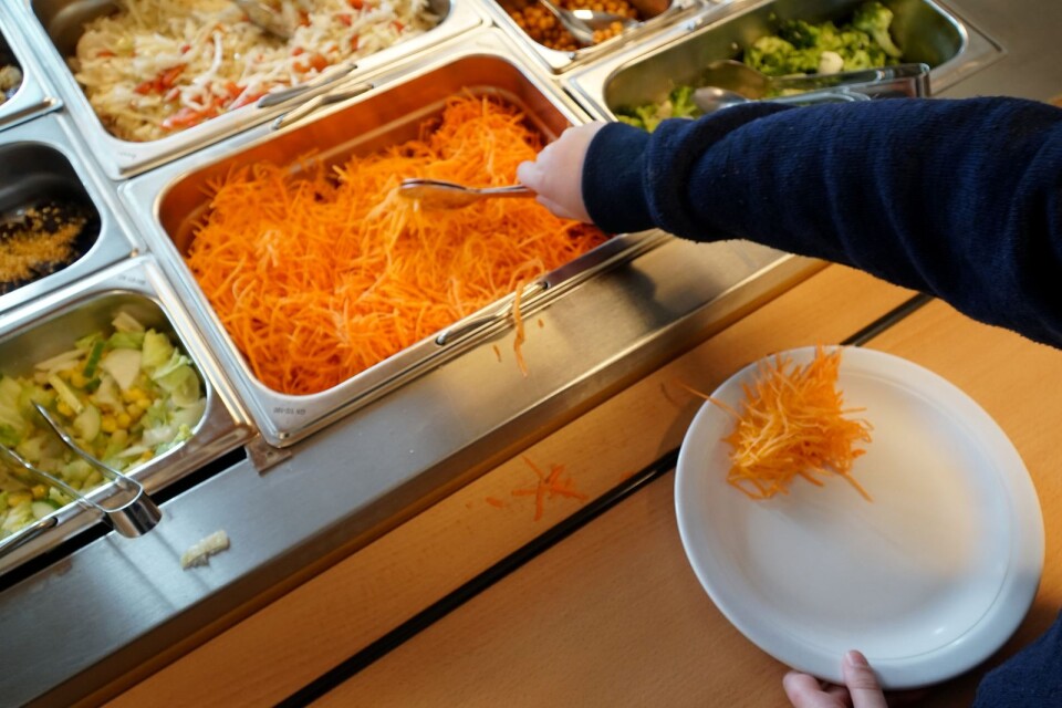 Inom skolor är matsvinnet 12-14 procent enligt mätningarna i Sjöbo kommun. Då räknas även skal, ben och annat in som köket rensar bort innan serveringen.
