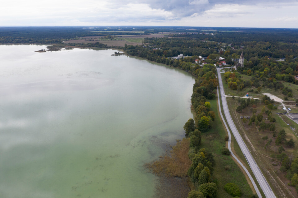 Sjön Tingstäde träsk på Gotland. Sjön tillhandahåller hälften av Visbys dricksvatten. Nu finns oro hos kritikerna att grundvattnet hotas. Arkivbild.