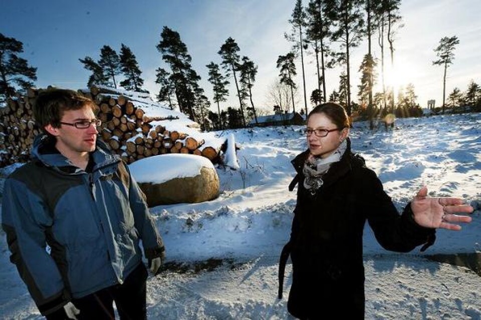 Daniel Gedeborg och Maria Cutova är bestörta över trädfällningen vid sitt bostadsområde.