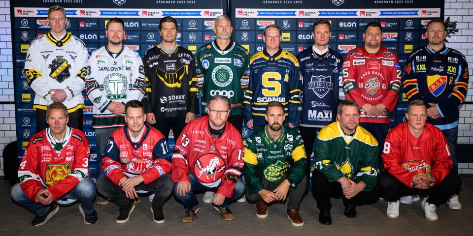 Den traditionsenliga bilden på alla Hockeyallsvenskans tränare, iklädda lagens matchtröjor. Fredrik Glader återfinns på den översta raden, näst längst till vänster.