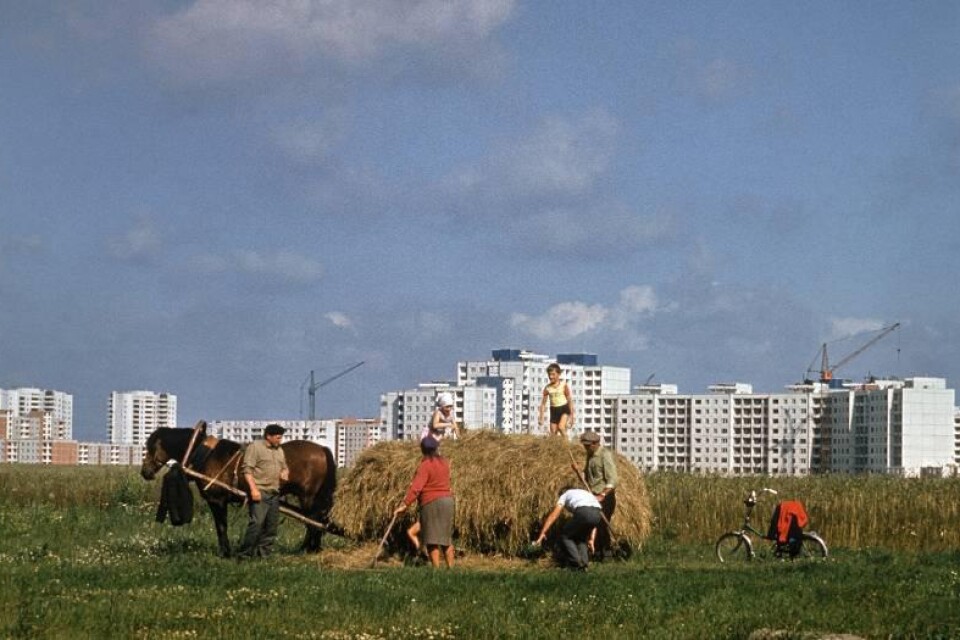 Höbärgning i utkanten av staden Brest, idag i Vitryssland. Året var 1987.