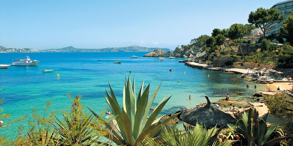 Drömmen om att hyra en semesterbostad på Mallorca slutade med att kvinnan lurades på över 50 000 kronor.