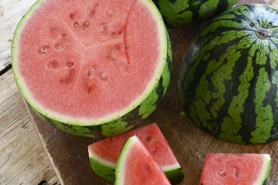 Vattenmelon har älskats av människan i tusentals år.