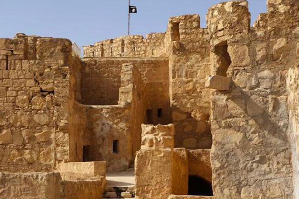 Islamiska staten (IS) sköt ihjäl omkring 20 män i en antik amfiteater i den syriska världsarvsstaden Palmyra på onsdagen. IS anklagade dem för att vara regeringsanhängare, uppger Syriska människorättsobservatoriet. IS tog kontroll över staden från reger