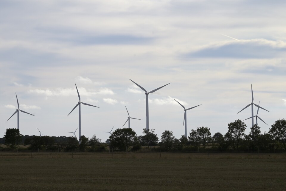 Nu ska regeringen låta utreda kommunernas veto mot vindkraft. Arkivbild.