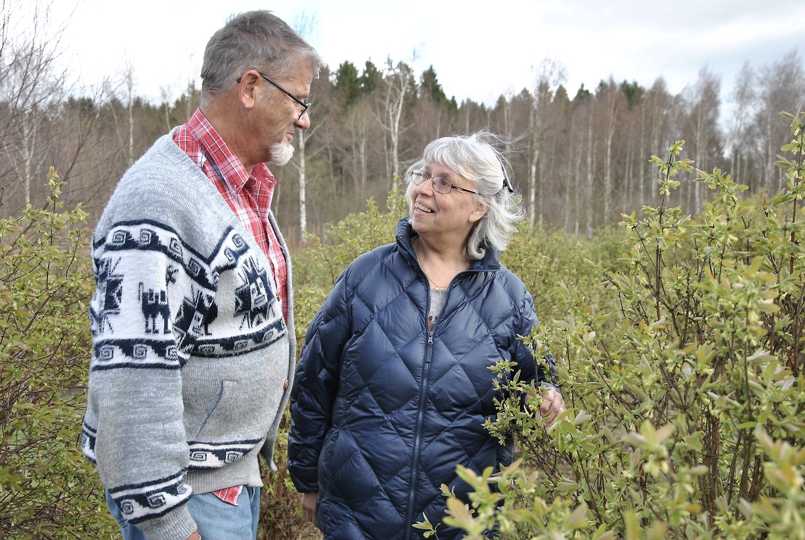 Ulf Ivarsson och Gunilla Andersson tittar till buskarna med honungsbär som blommar redan.