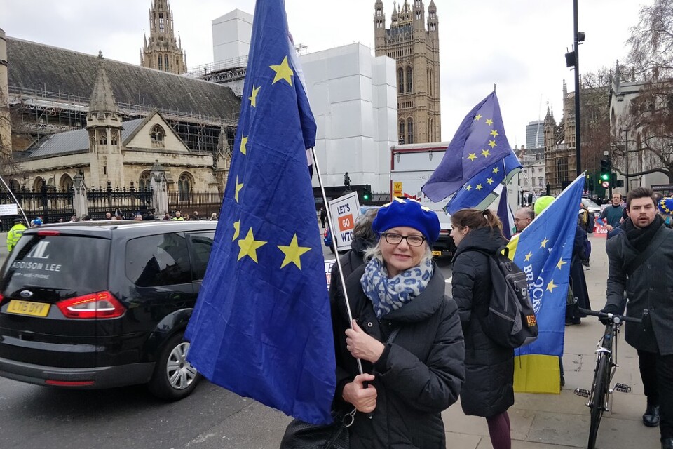 Bland de EU-anhängare som demonstrerar i London finns Lisa Stocks, 64.