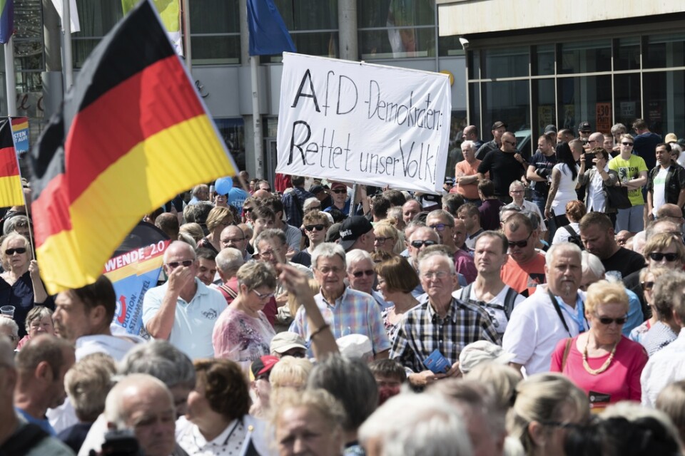 Ett demonstrant håller ett plakat med budskapet: "AFD, rädda vår nation". Arkivbild.