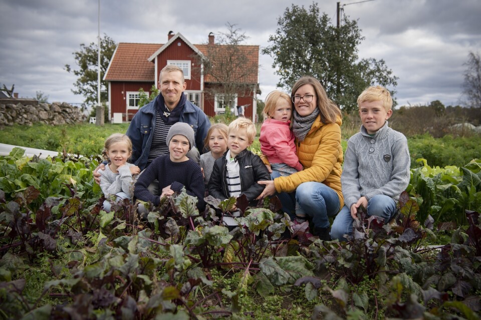 Här är Emanuel och Caroline Petersson med sina barn; Tyra, 6, Edvin, 9, Märta, 8, Tage, 4, Vera 2, och Melker, 11.