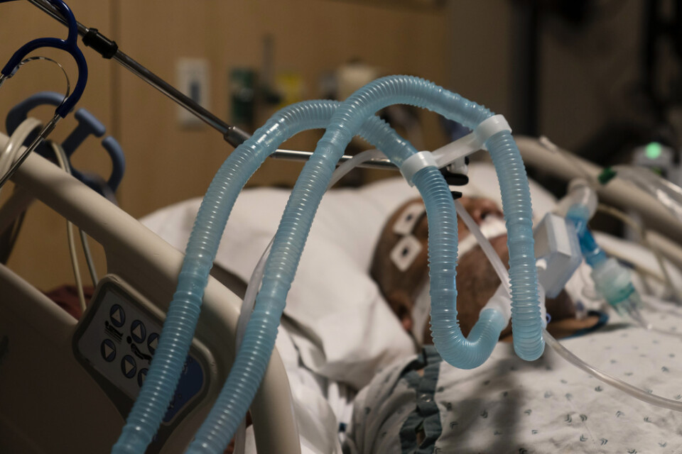 En covidsjuk man i respirator. Fotot är taget på ett sjukhus i Los Angeles i Kalifornien förra veckan.