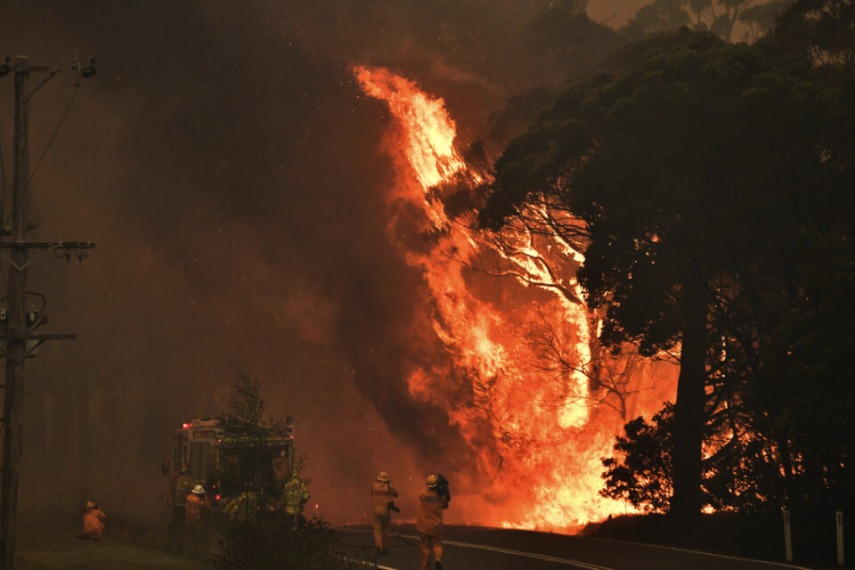 Bild från en brand nära samhället Bilpin, 90 kilometer nordväst om Sydney i New South Wales i Australien.