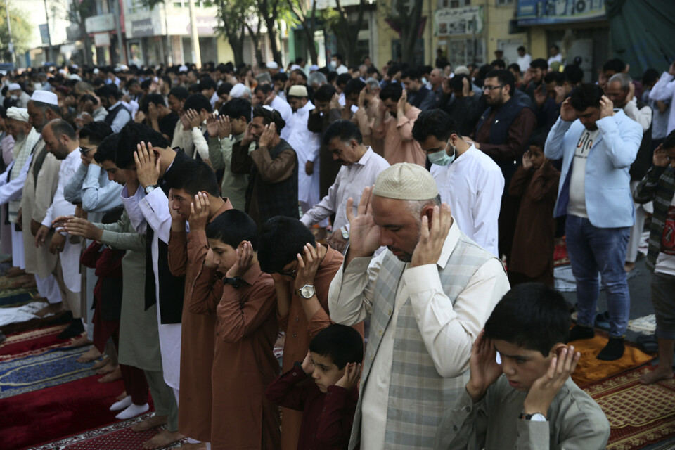 Afghanska muslimer ber under id al-adha i Kabul.